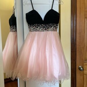 Black & Blush Fit & Flare Dress